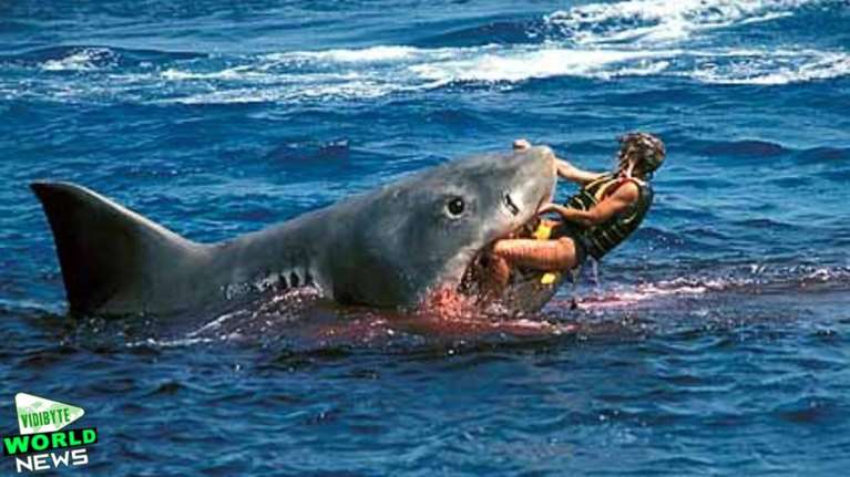 Γυναίκα- δύτης νεκρή από επίθεση λευκού καρχαρία