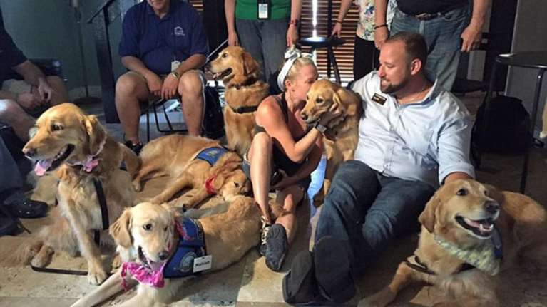 Τα Γκόλντεν Ριτρίβερ που παρηγορούν συγγενείς και θύματα επιθέσεων