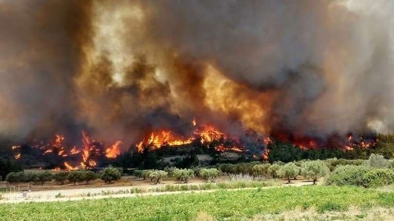 SOS από Πολιτική Προστασία:Δείτε ποιες περιοχές είναι επίφοβες για φωτιά