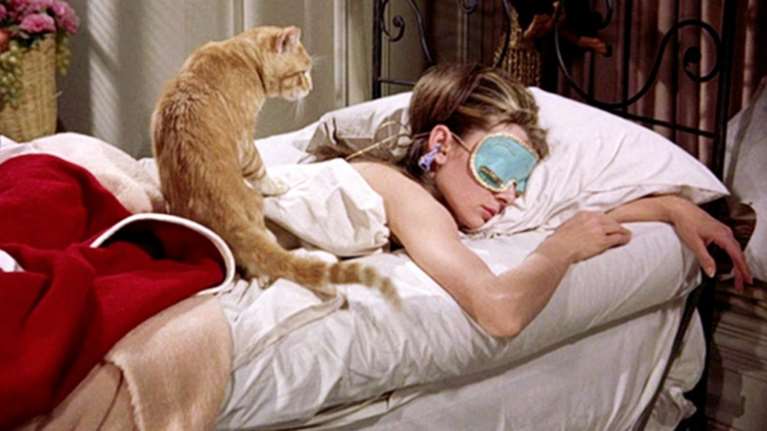 Πίσω από κάθε διάσημο υπάρχει μια γάτα - 30 απίθανες φωτογραφίες