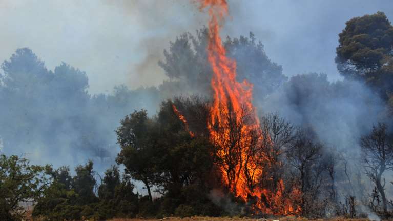 Υπο μερικό έλεγχο πυρκαγιά στην Ναυπακτία