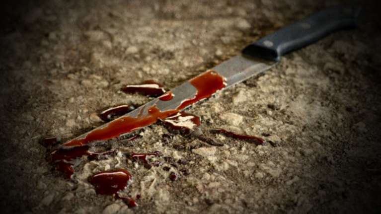 Έγκλημα - σοκ: Έσφαξε τη μητέρα του με κουζινομάχαιρο