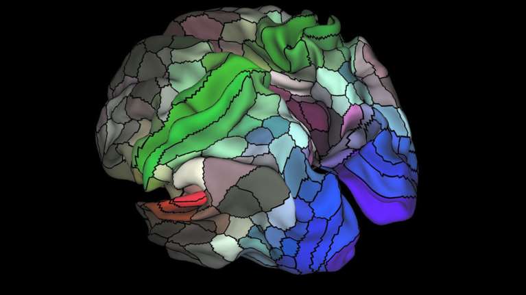 Αυτός είναι ο νέος χάρτης του ανθρώπινου εγκεφάλου - ΒΙΝΤΕΟ