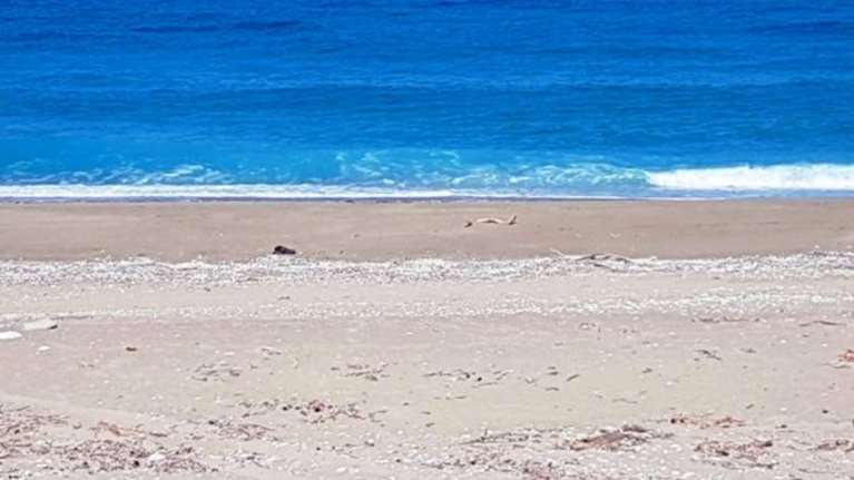 Καταγγελία- σοκ: Βίασε τη σύζυγό του σε παραλία στο Μεσολόγγι!