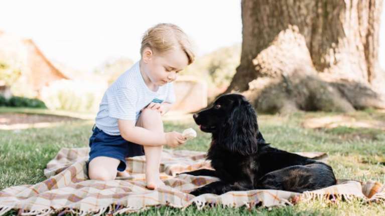 Τα γενέθλια του τρισχαριτωμένου πρίγκιπα