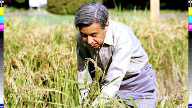 Ακιχίτο: Η ιστορία ενός πράου  αυτοκράτορα