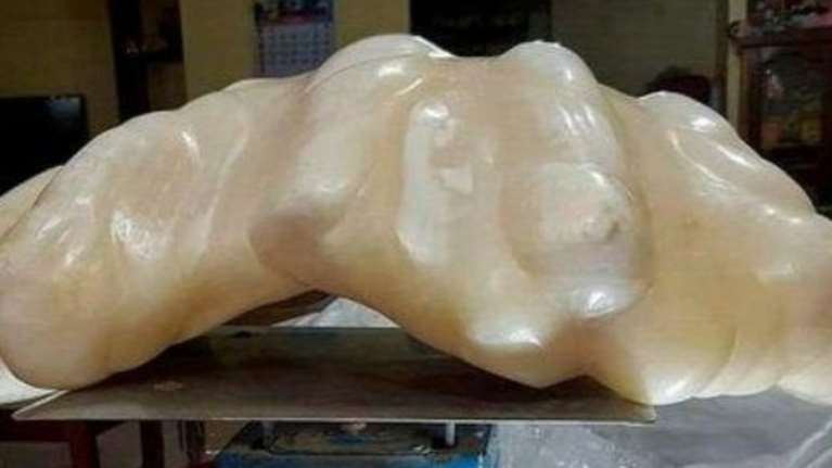 «Ψάρεψε» μαργαριτάρι 88 εκατομμυρίων € και δεν το ήξερε