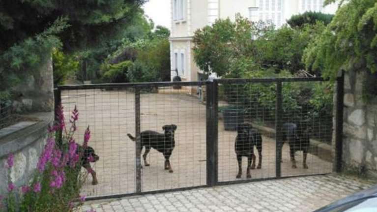 Αγωγή 800.000 κατά του ιδιοκτήτη των ροτβάιλερ που σκότωσαν τον 5χρονο