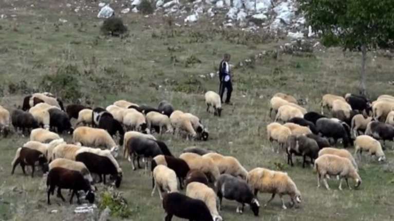 Κτηνοτρόφοι ξυλοκόπησαν υπάλληλο του δήμου