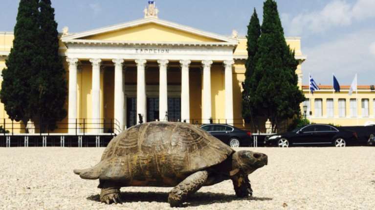 Τα 13 προαπαιτούμενα που πρέπει να τρέξει η κυβέρνηση