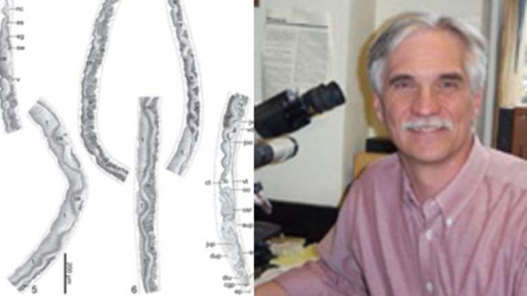 Εδωσε σε παράσιτο το όνομα «Ομπάμα»