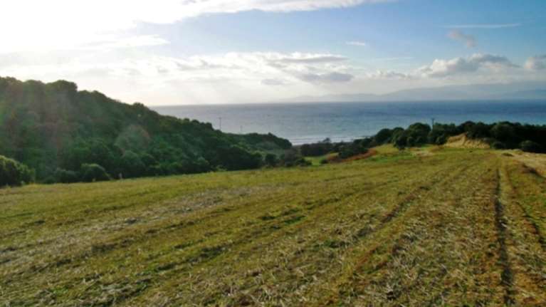 Τι λέει ο επιχειρηματίας για τα «βοσκοτόπια Καλογρίτσα»