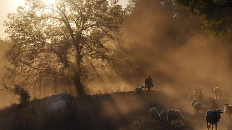 «Ο Τερματισμός»: Ένας οδηγός για σούπερ ήρωες της διπλανής πόρτας