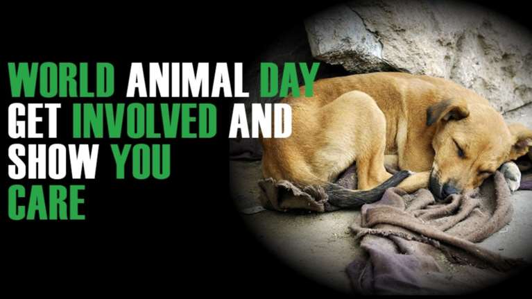 4 Οκτωβρίου: Παγκόσμια Ημέρα των Ζώων
