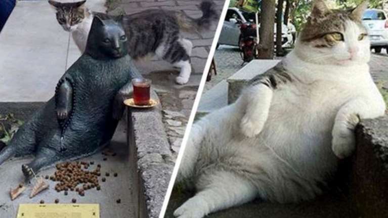 Ο γάτος - σύμβολο της αφασίας έγινε άγαλμα στην Κωνσταντινούπολη