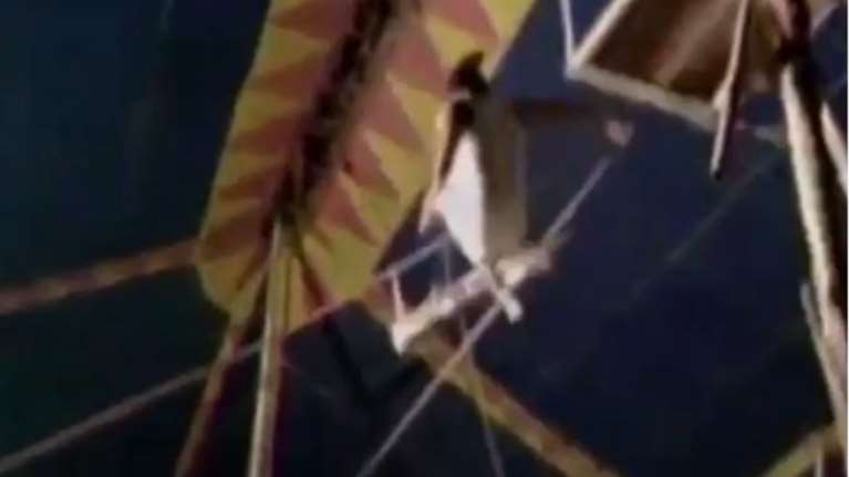 Κόβει την ανάσα πτώση στο κενό ακροβάτη τσίρκου  video