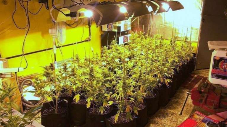 Είχαν εργαστήρια υδροπονικής κάνναβης σε Αθήνα και Κορινθία