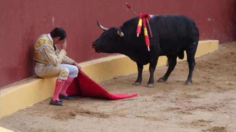 Ακυρη η απαγόρευση των ταυρομαχιών στην Καταλονία