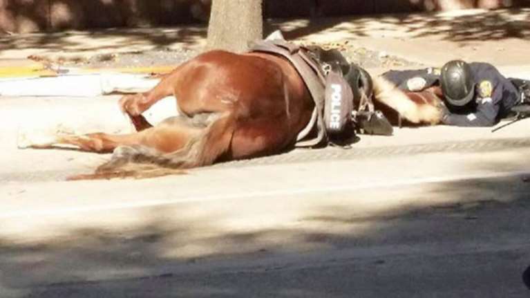 Ο συγκινητικός αποχαιρετισμός αστυνομικού στο άλογό του που ξεψυχάει