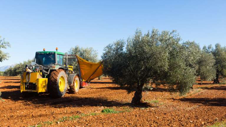 Τραγωδία στο Ρέθυμνο:Την πάτησε το αγροτικό του πατέρα της ενώ μάζευε ελιές