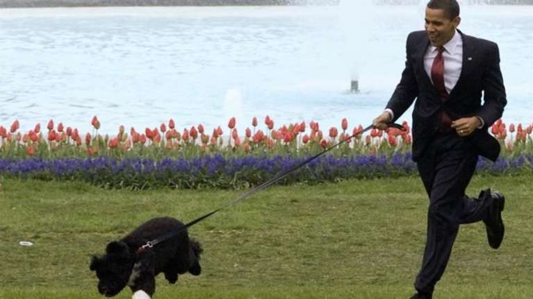 ΗΠΑ: Άνδρας σχεδίαζε να απαγάγει τον σκύλο του Ομπάμα