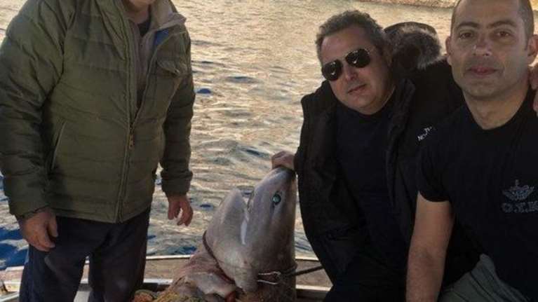 Οργή WWF κατά Καμμένου για τη φωτό με τον καρχαρία