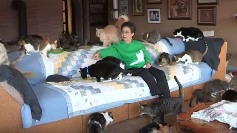 Αυτή η γυναίκα ζει μαζί με 1.100 γάτες σε ένα αγρόκτημα