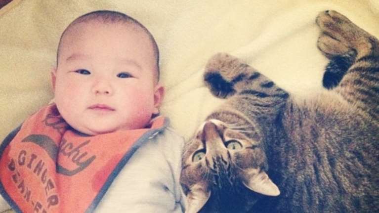 Ο πιο πιστός γάτος του κόσμου