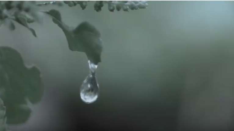 Το σποτ του Ποταμιού για το Συνέδριο: Σαν μια σταγόνα που θα τα αλλάξει όλα