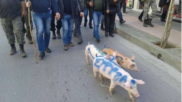 Αγρότες στο Ρέθυμνο έβαλαν γουρούνια να ζητήσουν...ψήφους  [φωτο - βίντεο]