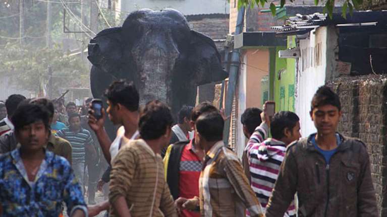 Αγριος ελέφαντας καταστρέφει τα πάντα στο πέρασμά του