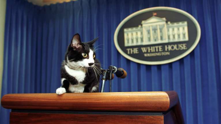 Τα κατοικίδια των προέδρων: Σκύλοι, πρόβατα κι αρκούδες