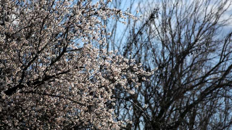 Και έτσι ξαφνικά, όπως θα μπαίνει η Άνοιξη