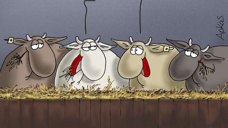 Το νέο σκίτσο του Αρκά περί... σανού και ηλίθιων!