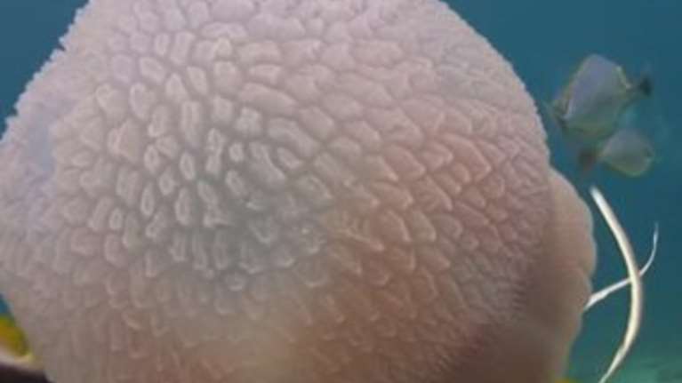 H μητέρα φύση μας κόβει την ανάσα ακόμα μία φορά