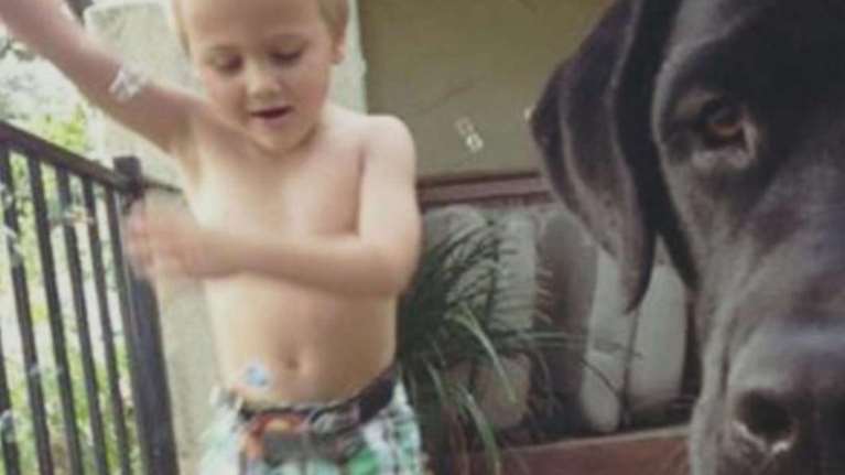 Πώς ένα λαμπραντόρ έσωσε τον 7χρονο Luke από βέβαιο θάνατο