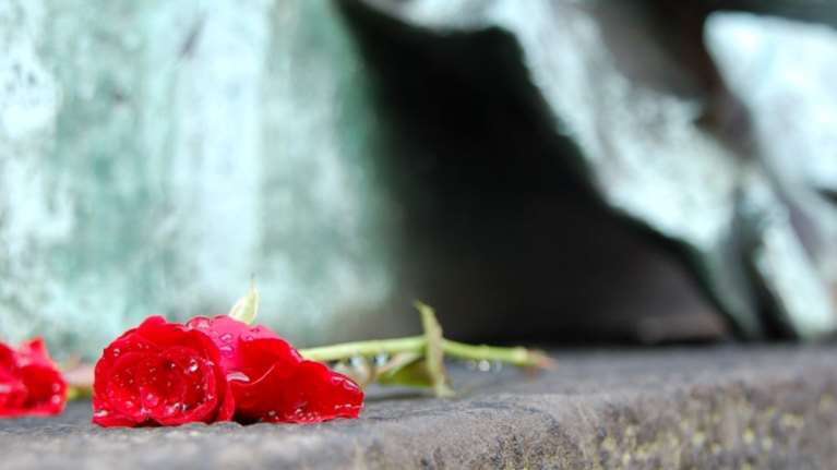 Σοκ στα Τρίκαλα: Νεαρή φοιτήτρια γλίστρησε στο μπάνιο και σκοτώθηκε