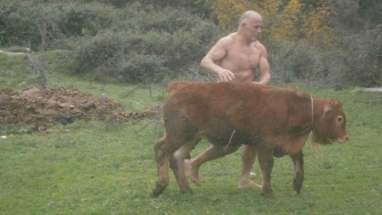 Πρωταθλητής πάλης κακοποιεί μοσχαράκια για να δείξει τη δύναμή του!