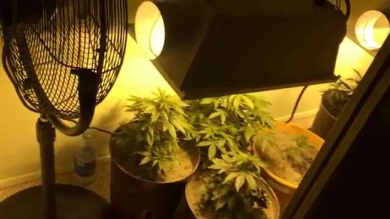 Αυτοσχέδιο εργαστήριο κάνναβης μέσα... σε ντουλάπα στην Πέλλα