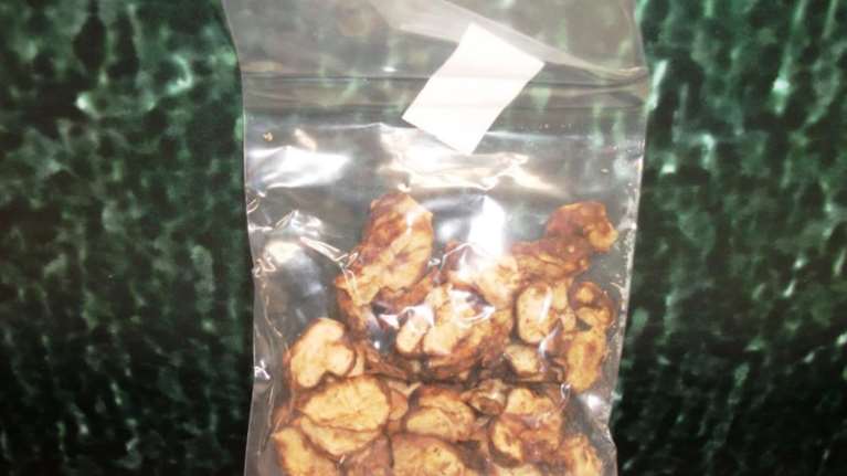 Είχε παραγγείλει «μαγικά μανιτάρια» αλλά τον έπιασαν