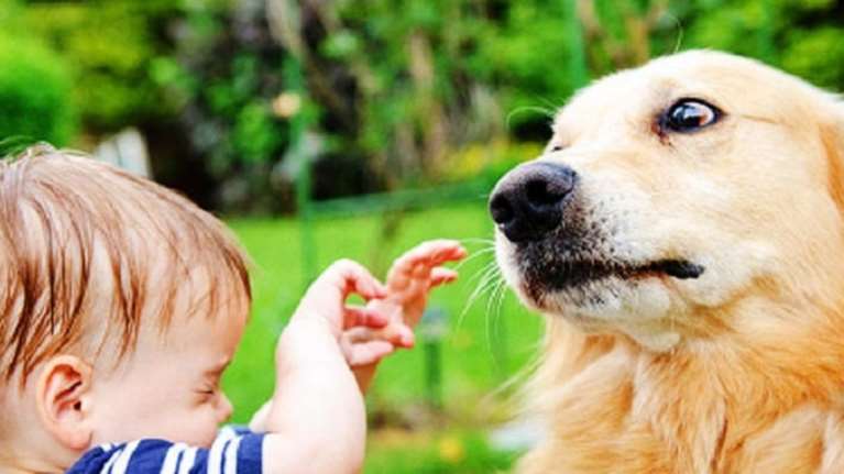 Τραύματα στο πρόσωπο μωρού από επίθεση σκύλου της οικογένειας
