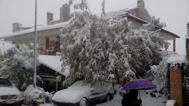 Στα λευκά η χώρα, ισχυροί άνεμοι και πολικό ψύχος [ΕΙΚΟΝΕΣ]