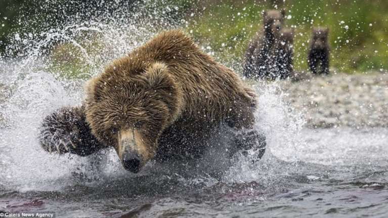 Όταν ο φακός &quot;συλλαμβάνει&quot; τη μοναδικότητα της μητέρας φύσης (ΦΩΤΟ)