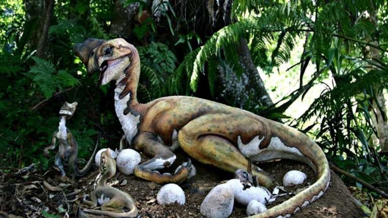 Ανακαλύφθηκε ουρά δεινοσαύρου σε δέντρο ηλικίας 99 εκατ. ετών