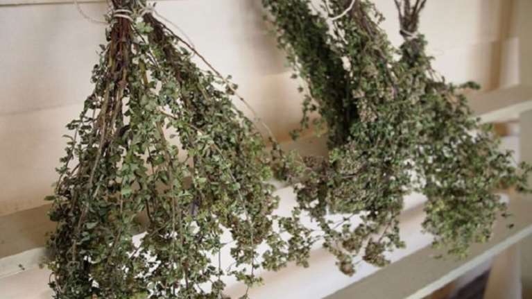 Η τοκογλύφος της Πάτρας που πουλάει...ρίγανη στη λαική!