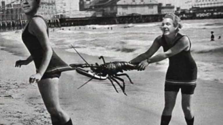 Το ΚΚΕ κάνει πλάκα σε Τσίπρα- Καμμένο με ένα απίστευτο βίντεο