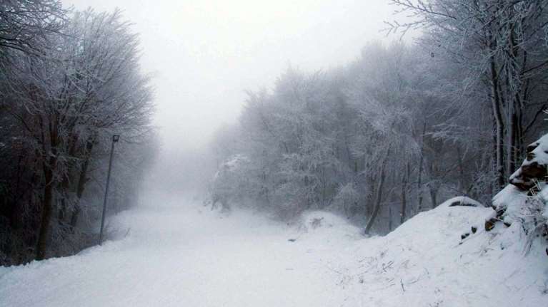Βόλος: Χιονοθύελλα στο Πήλιο-Κλειστό το χιονοδρομικό λόγω σφοδρών ανέμων