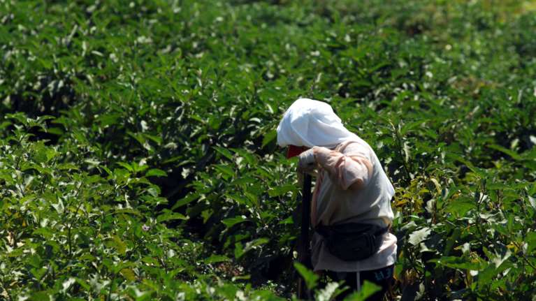 Εφάπαξ βοήθημα 1000 ευρώ και σε 1.185 πολύτεκνες αγρότισσες του ΟΓΑ