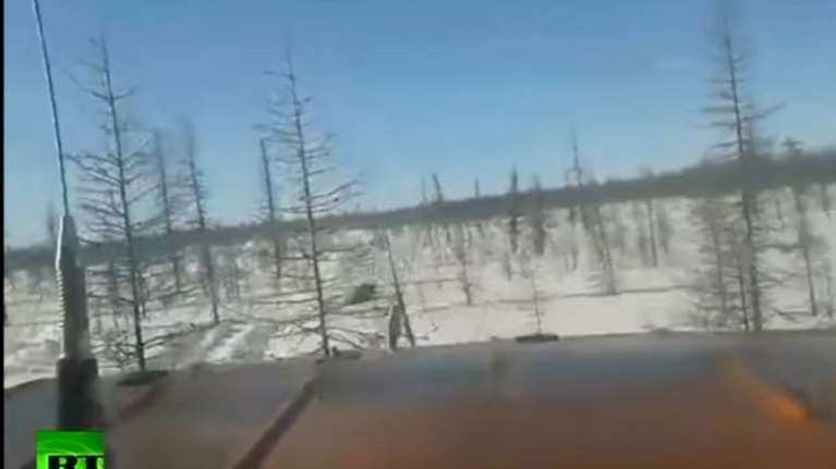 Σοκαριστική κτηνωδία ομάδας ανδρών σε βάρος αρκούδας - video-