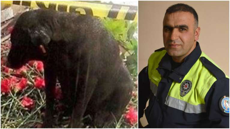 Ενας σκύλος περιμένει τον αστυνομικό που σκοτώθηκε στη Σμύρνη